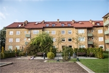 Image missing alt text